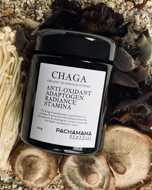CHAGA Mushroom Powder Organic